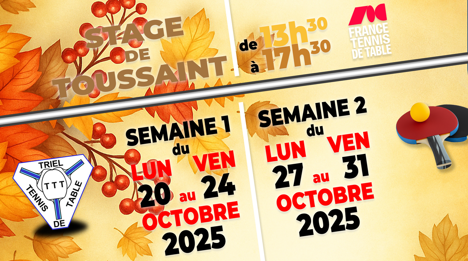 [Stage] Stage de Toussaint
