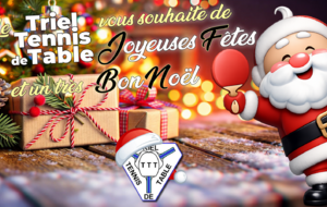 Bonnes Fêtes de Fin d'Année 2025