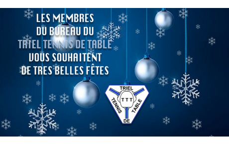 Bonnes Fêtes de Fin d'Année