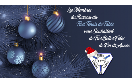 Bonnes Fêtes de Fin d'Année 2023