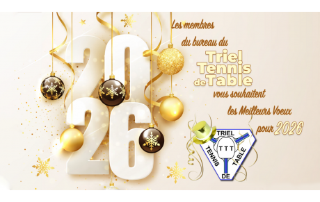 Meilleurs Voeux 2026