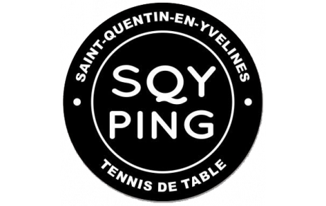 SQY Ping